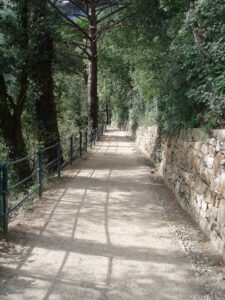 KNOW HERE: Interesting features of Tappeinerweg path in Meran, Italy