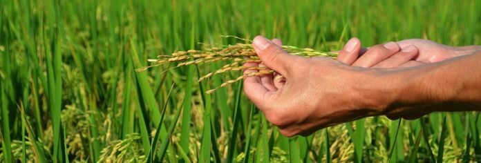 Belgium and FAO teams up to save lives, livelihoods of farmers in North Kenya