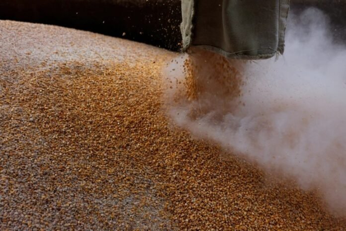 Delegates from Turkey, Russia, Ukraine to meet UN over grain talks