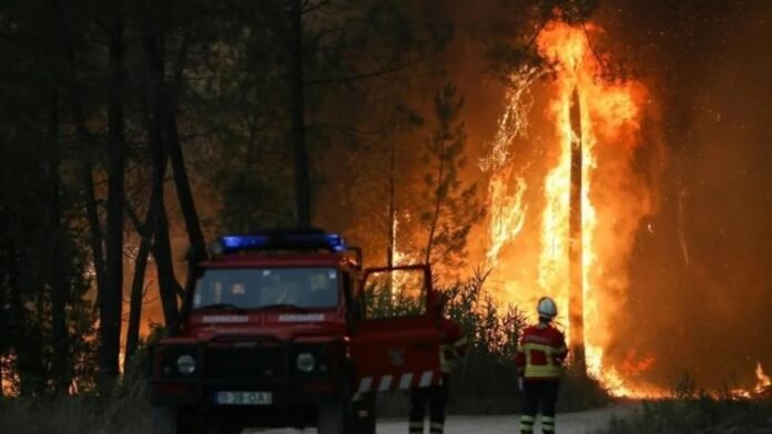 Thousands of people were evacuated from their homes, as fire ravages in Spain, Portugal, France