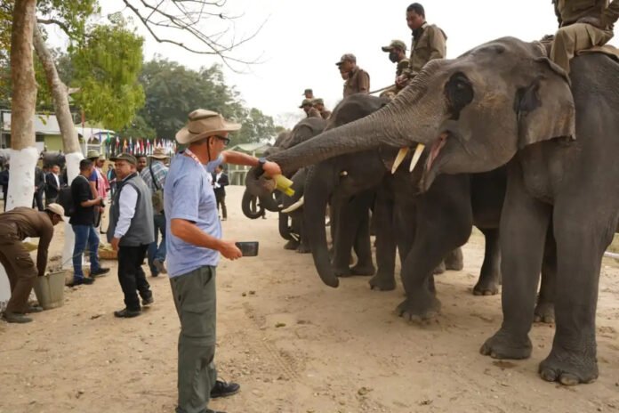 A G20 team arrived in Golaghat district on February 1 to participate in the thrilling jeep safari at the Bagori and Kohora ranges of the Kaziranga National Park, a UNESCO World Heritage Site A G20 team arrived in Golaghat district on February 1 to participate in the thrilling jeep safari at the Bagori and Kohora ranges of the Kaziranga National Park, a UNESCO World Heritage Site