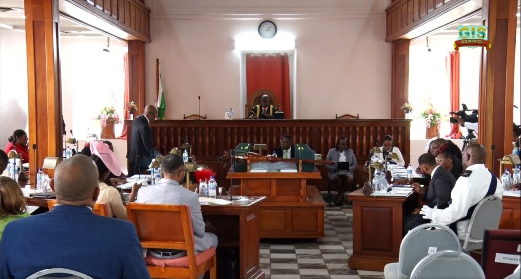 The Dominican House of Assembly held its first session of the Eleventh Parliament's first meeting yesterday, February 7, 2023. The primary goal of the session was to ensure that the Commonwealth of Dominica is developed in every way while defending the safety of its citizens