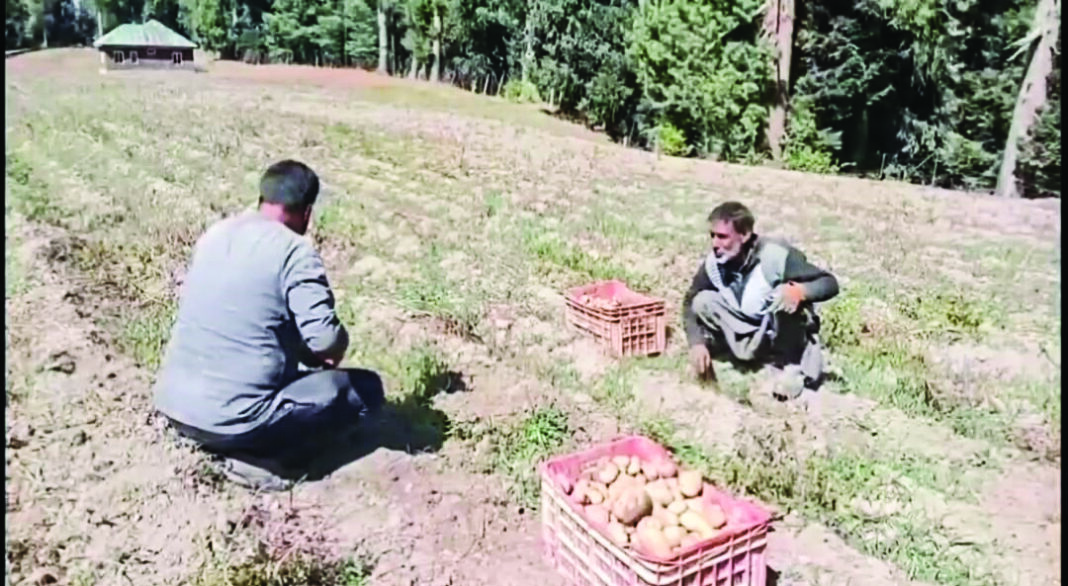 Bandipora: PepsiCo India Holdings Pvt Ltd will purchase potato crops from Gurez to make the chips, providing a significant boost to farmers in the Gurez valley in the Bandipora district of North Kashmir