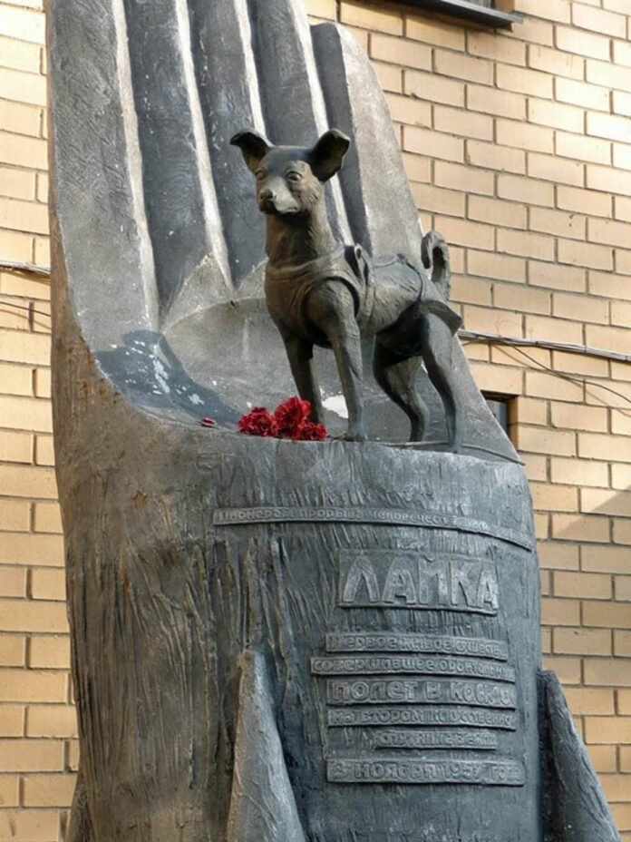 Russian dog, Laika was first animal to completely orbit Earth from space