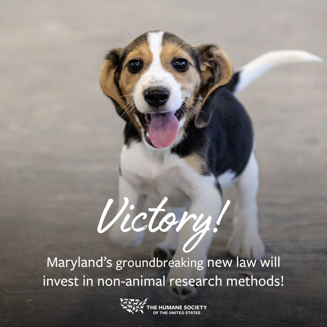 US: Maryland becomes first state to develop non-animal research method