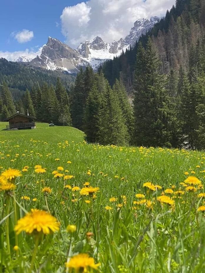 READ HERE ABOUT: Val San Nicolo, Largest Hydrographic basin in Italy READ HERE ABOUT: Val San Nicolo, Largest Hydrographic basin in Italy