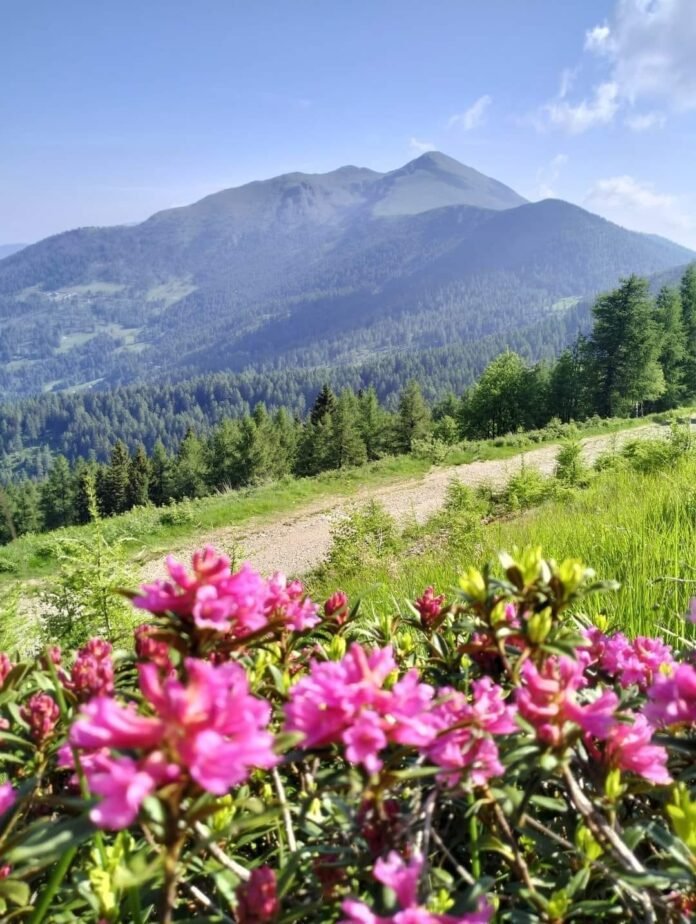 READ HERE: Unique Facts about Valle dei Mòcheni, an Italian valley in province of Trentino