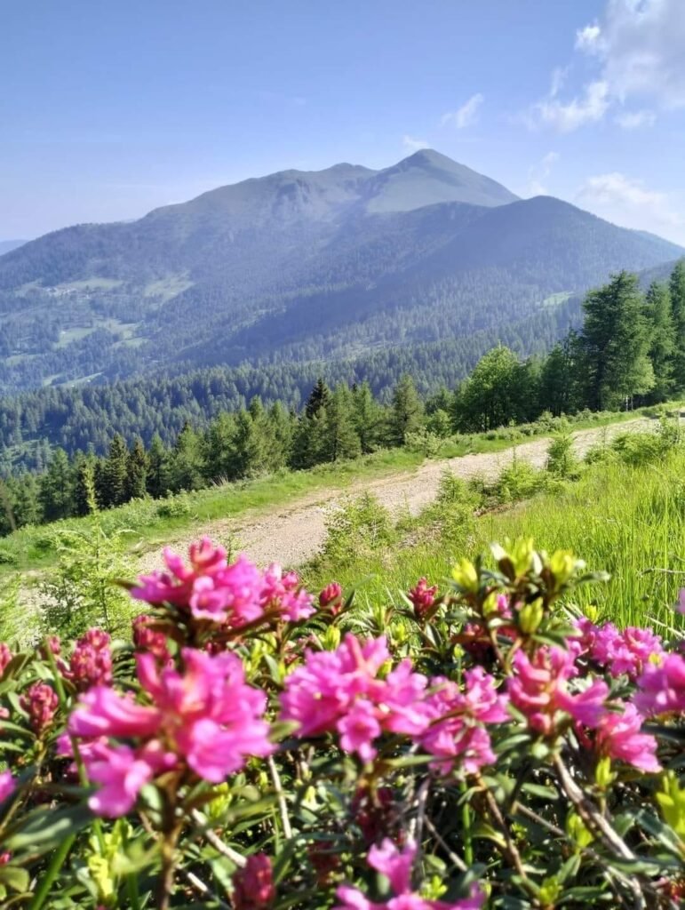 READ HERE: Unique Facts about Valle dei Mòcheni, an Italian valley in province of Trentino