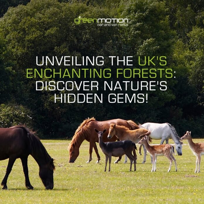 Green Motion International introduces UK's enchanting forests to book a rental car Green Motion International introduces UK's enchanting forests to book a rental car