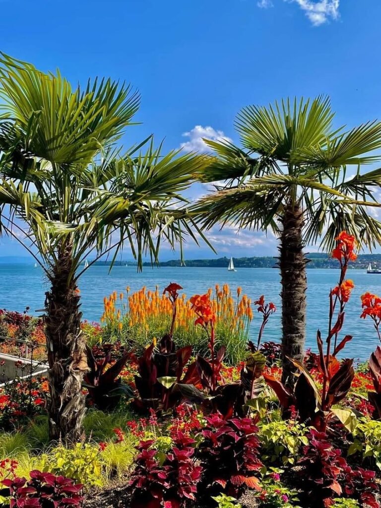 READ HERE: Interesting features of Lake Constance in areas of Austria, Germany and Switzerland