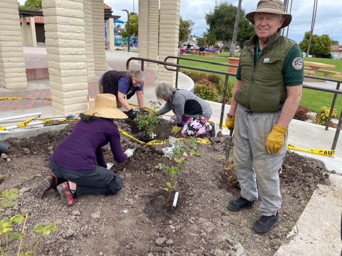 San Clemente Garden Club plants Veterans Memorial Rose Garden across their homes