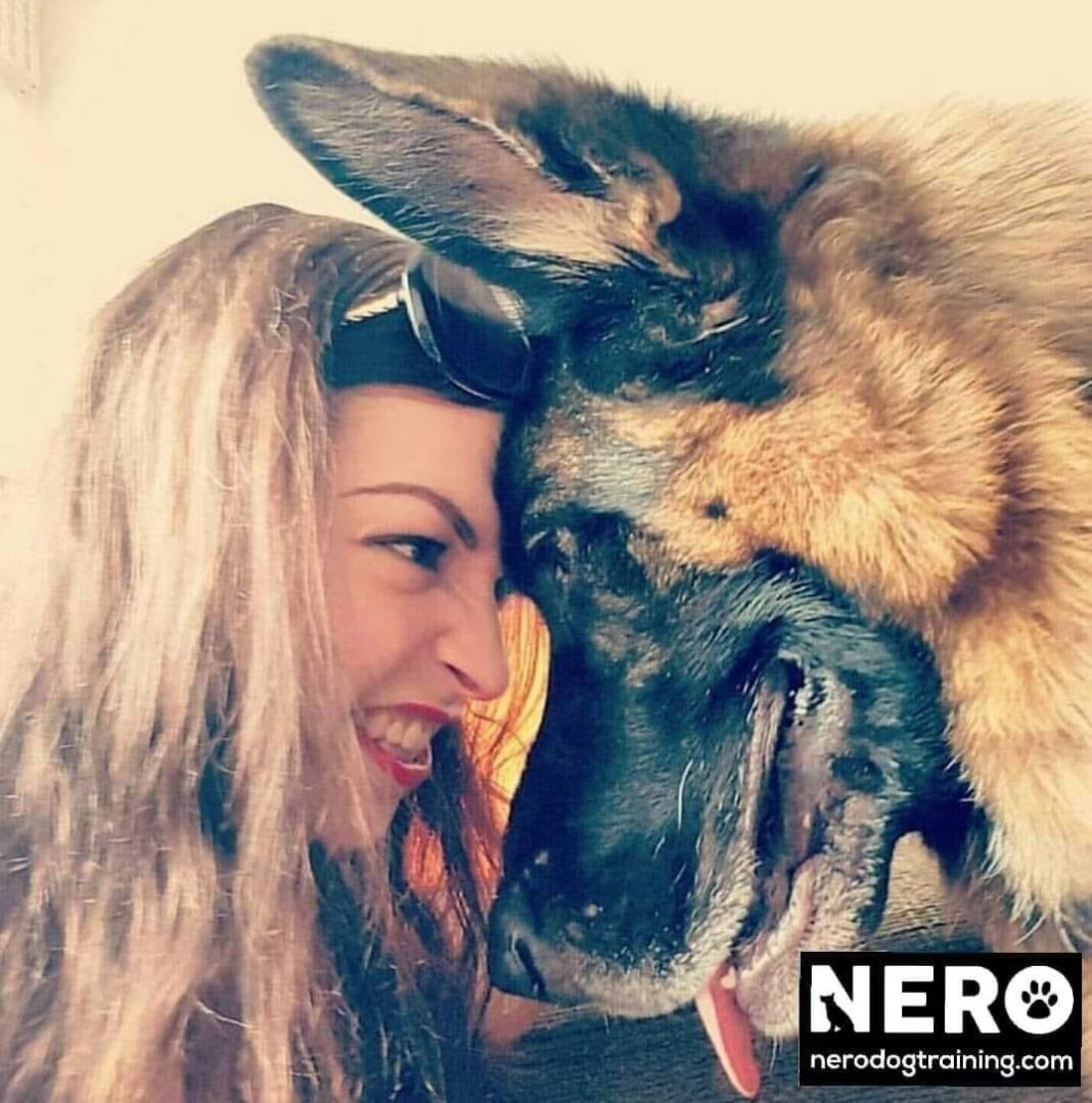 Netherlands: Nero Dog Training completes seven years of establishment