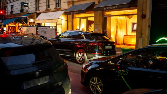 The referendum, perceived by some as a significant step towards environmental sustainability, has its critics