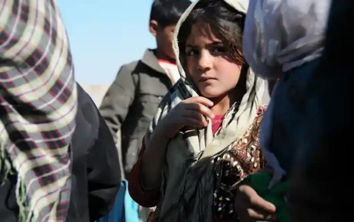 Asylum applications in France have experienced a slowdown during the first half of 2024, according to the French Office for the Protection of Refugees and Stateless Persons (OFPRA) Asylum applications in France have experienced a slowdown during the first half of 2024, according to the French Office for the Protection of Refugees and Stateless Persons (OFPRA)