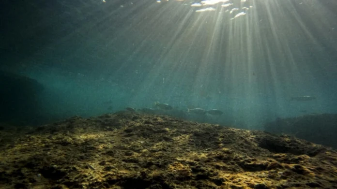On Thursday, the daily median sea surface temperature in the Mediterranean reached an unprecedented 28.90°C On Thursday, the daily median sea surface temperature in the Mediterranean reached an unprecedented 28.90°C