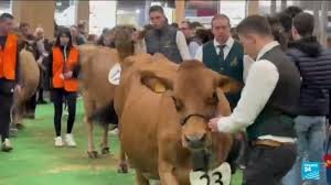 Empty cattle stalls at the Paris Agricultural Show underline unprecedented measures taken to prevent the spread of livestock disease Empty cattle stalls at the Paris Agricultural Show underline unprecedented measures taken to prevent the spread of livestock disease